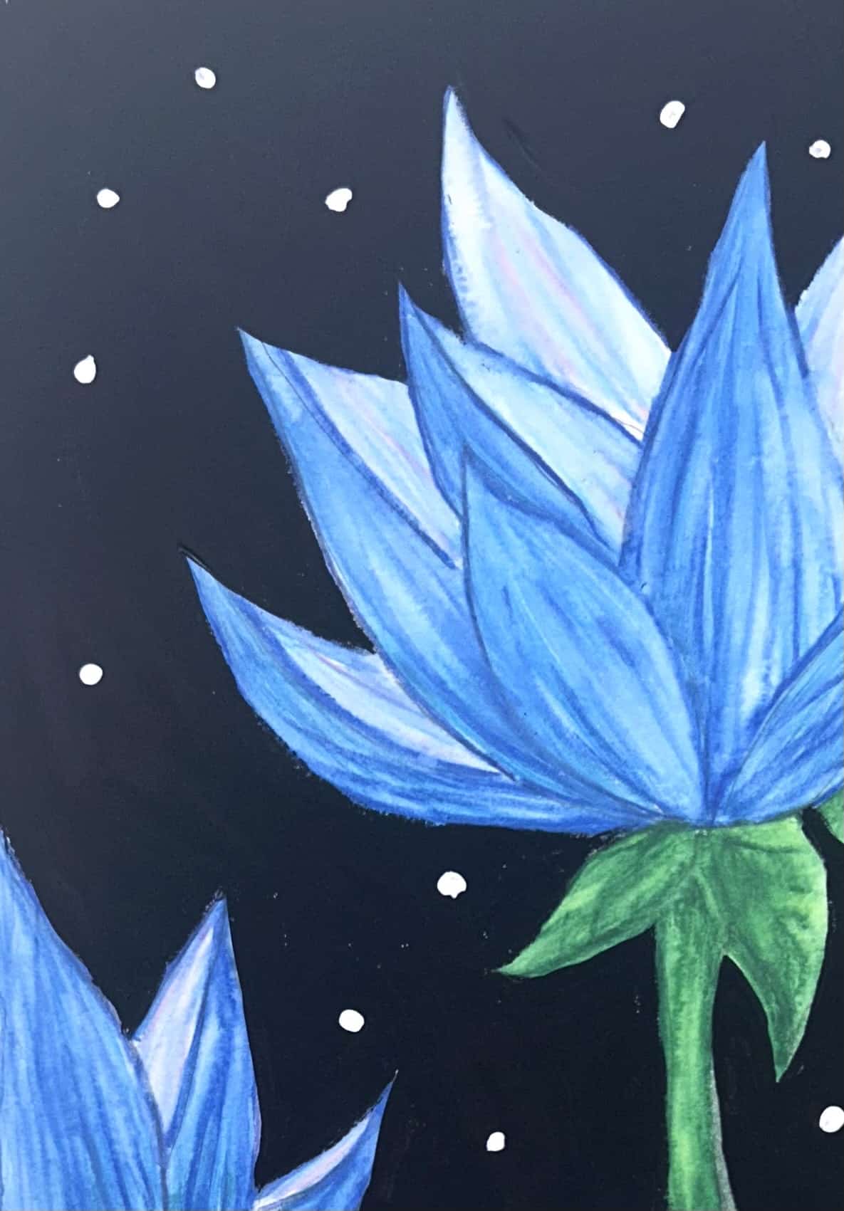 Fred's Birthday Fundraiser