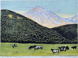 Steve Chan, Under The Volcano, $1800