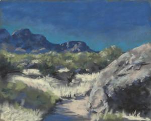 T Kurtz, Arid Distance, $1500