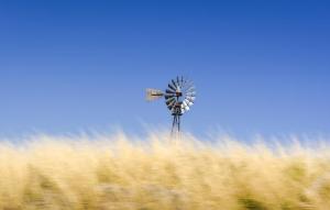 Sherrie Larimore, Arizona Wind, $110