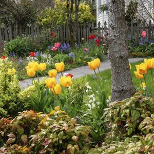 Sherrie Larimore, Spring Garden, $110