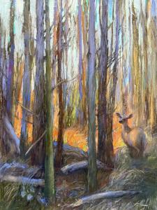 Tatiana Makht, Monterey, $787